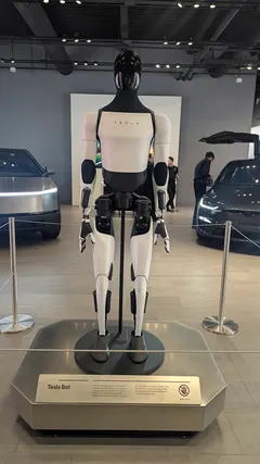 Un robot Tesla Optimus blanc et noir, debout sur un socle dans un showroom, entre deux voitures.